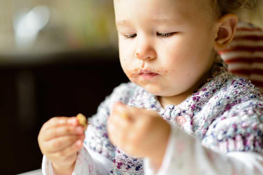 Gluten-free Dairy-free Snacks for Toddlers