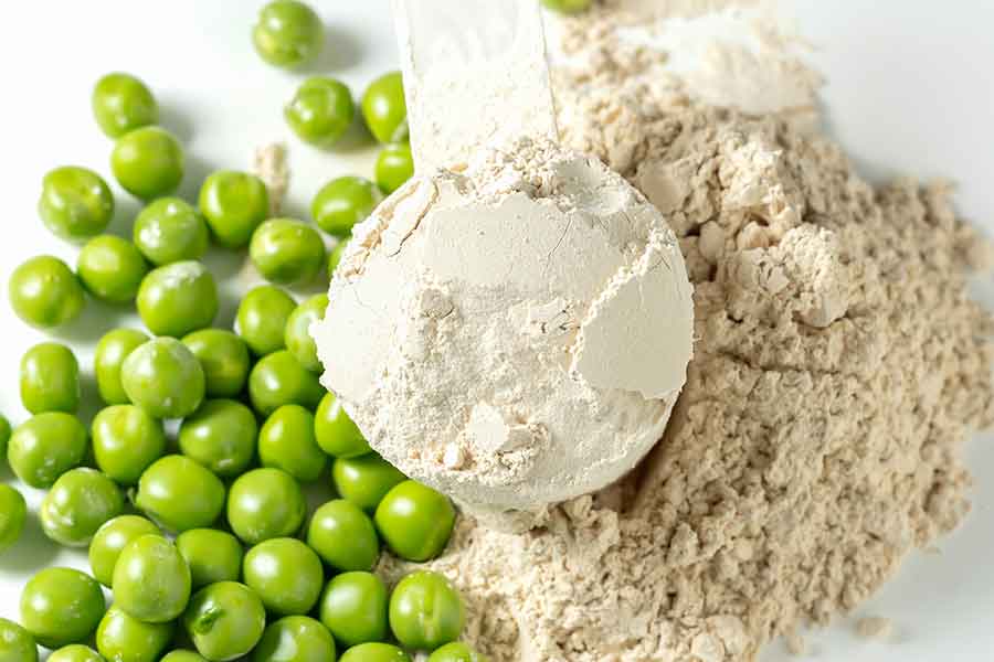 Plant base protein Pea Protein Powder